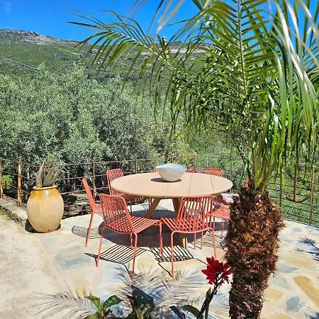 Villa Prestige Erbalunga - Casa Di A Scala *