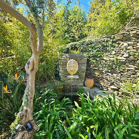 Prestige Erbalunga - Casa Di A Scala Villa Brando