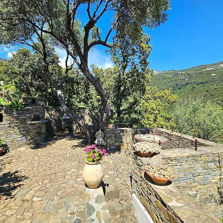 Prestige Erbalunga - Casa Di A Scala Villa Brando