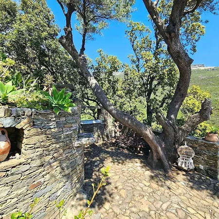 Villa Prestige Erbalunga - Casa Di A Scala *