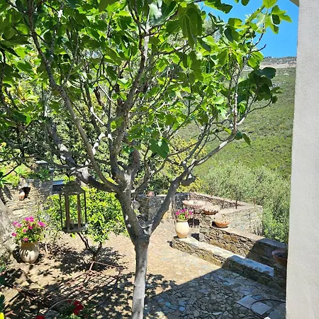 Prestige Erbalunga - Casa Di A Scala Brando