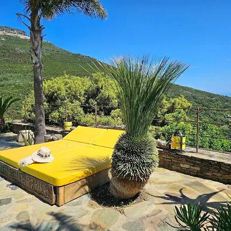 Villa Prestige Erbalunga - Casa Di A Scala Brando
