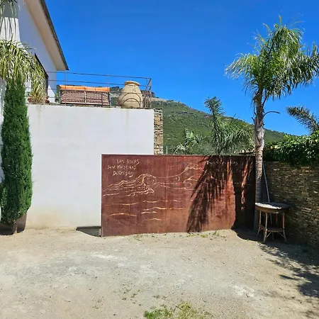 Villa Prestige Erbalunga - Casa Di A Scala Brando
